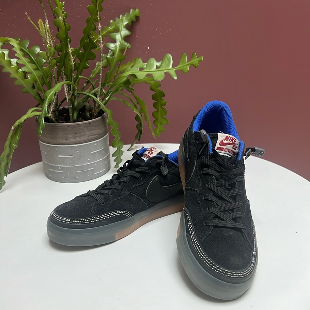Nike Skateboard Sneakers